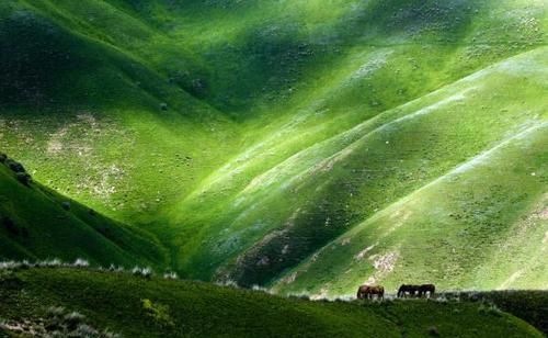 藏于新疆的绝美草原，令人神往，很少有人知道