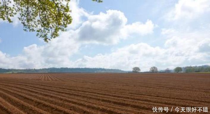  耕地@未来，中国的耕地到底由谁来耕种？中国的粮食到底会由谁来