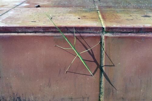 在摄影师15年的个人成长影像记录里,有原汁原味的印度南部风情