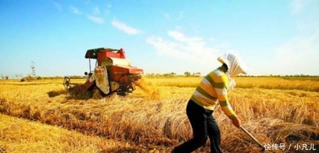  【农民】注意! 农村宅基地有新说法了, 你必须要知道!