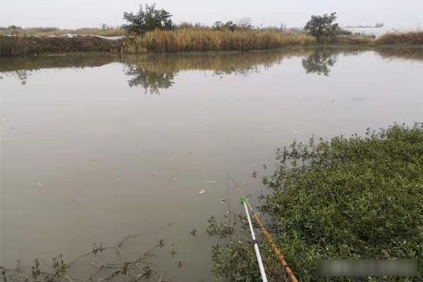  【绵绵细雨】最适合春季钓鱼几种天气，这些天气鱼儿疯狂开口，收获肯定差不了