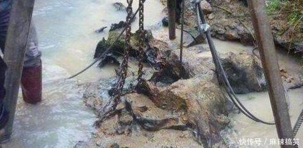 农民大爷在自家池塘意外挖到百年木棺，打开后脸色却瞬间变了！