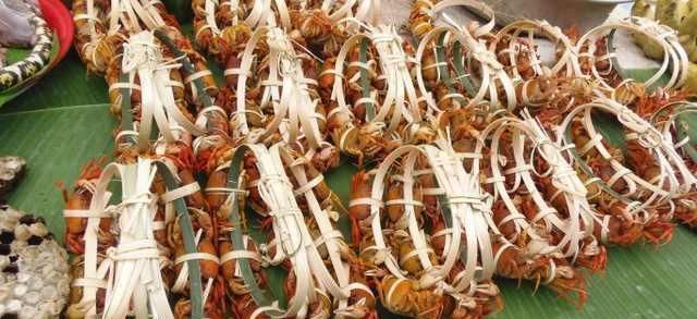 去了一趟老挝菜市场被吓到了，老挝人真的是什么都敢卖啊