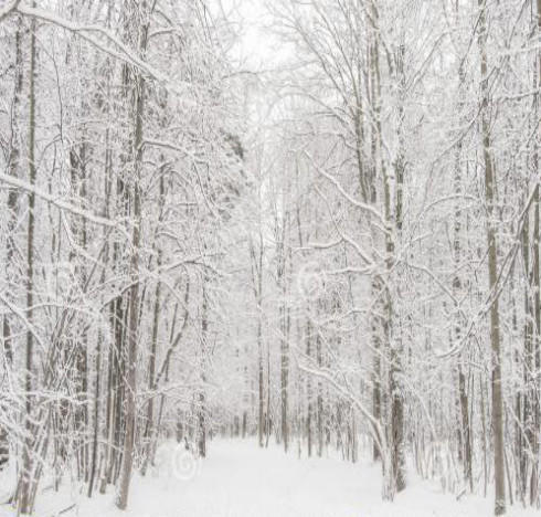 世界上最冷的地方，不是南极也不是北极，这个地方所有人都来过！