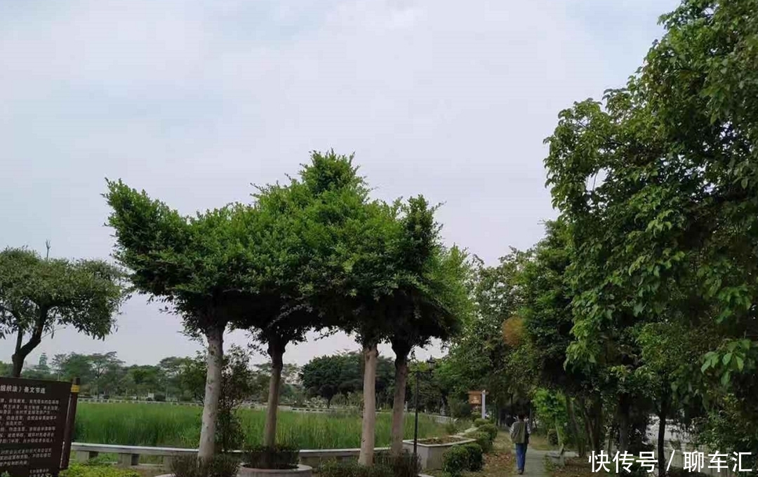 广州有一古村落,景美古迹多,村民智慧令人称赞