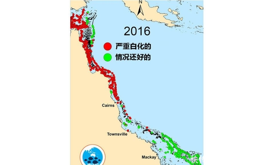 起源：海洋越来越酸，生物越变越白 上