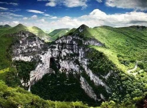 最大地下原始森林，藏在我国天坑秘境内，面积约9.6万平方米