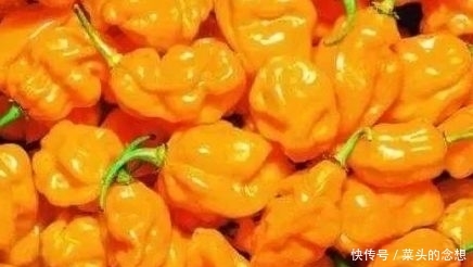 想不到@中国“最怕辣”的4个省份,广东排第1,网友:最后一个让人想不到