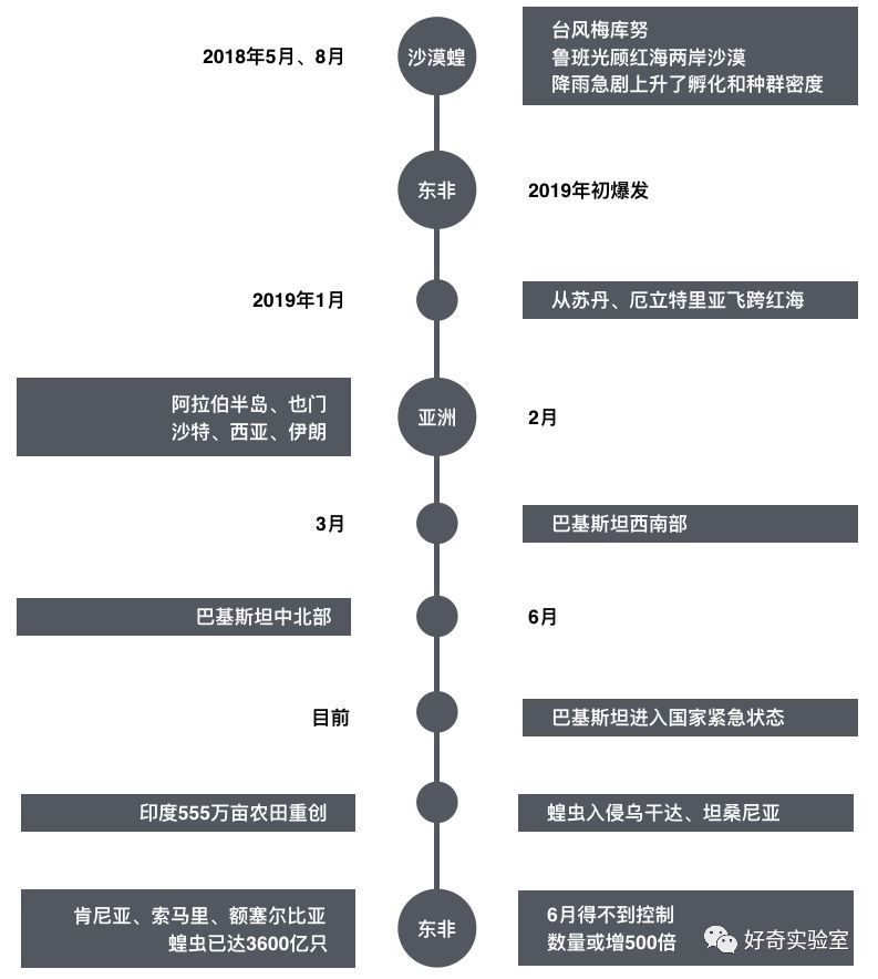 逼近@千亿蝗虫逼近中国边境，但你的辣椒和孜然可能白准备了