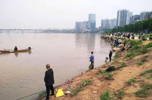  「湖南人」此鱼各地叫法各不相同，湖南人叫“黄鸭叫”洪水退后非常好钓