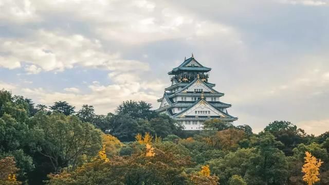  木匠：日本乡村改造给中国的启示