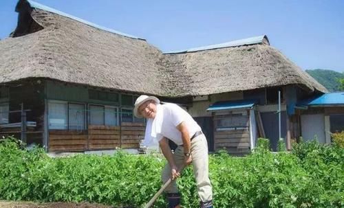 镜头下最真实的日本城市和乡村景色，你更向往哪种生活