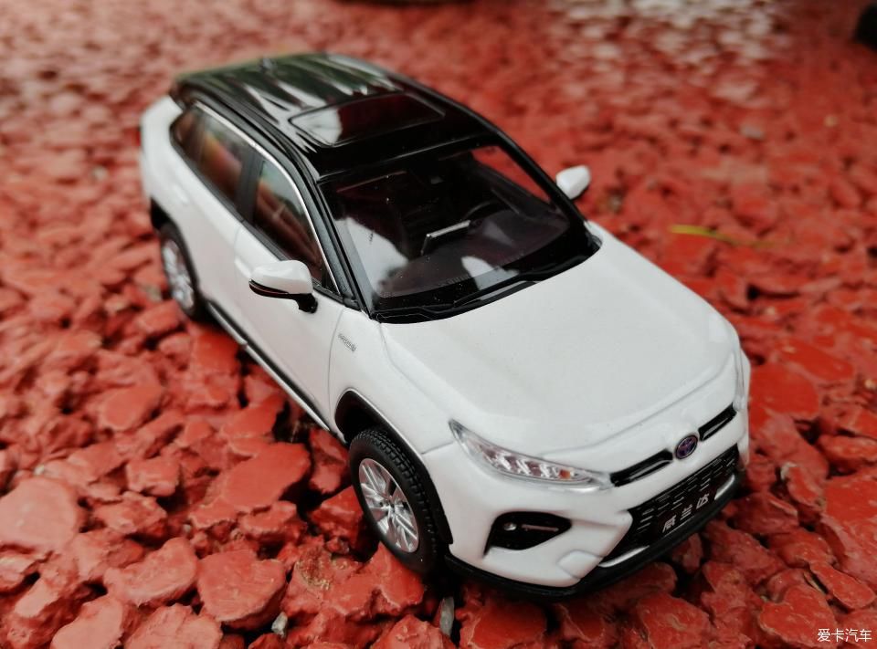 特别:十里春风,打卡滨江公园