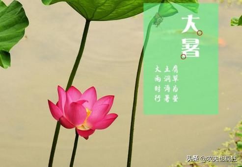 大暑节气将至，大暑是啥意思，很热吗？大暑三候指什么？