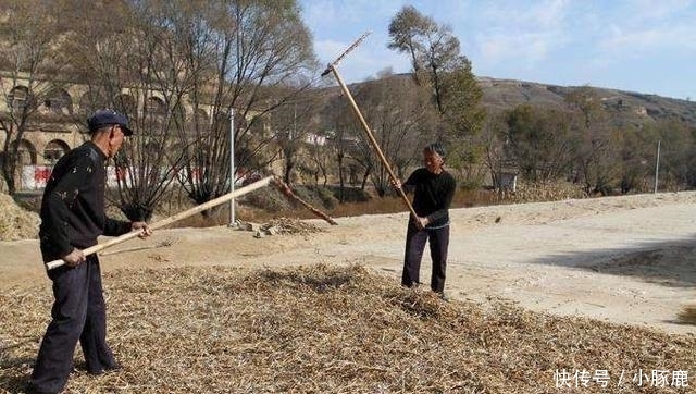 认识5个正常, 10个算厉害, 全部都认识的你就超“神”了!