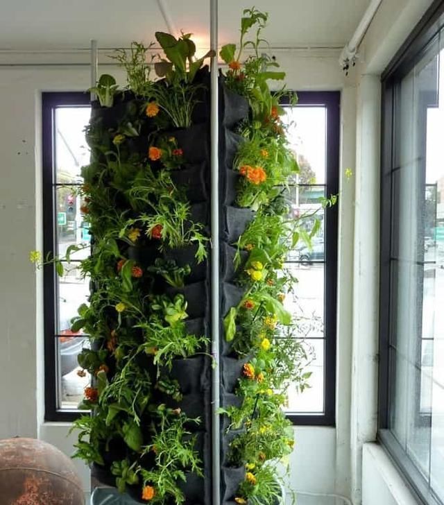  设计|城里人越来越流行在家种菜了！分享10种菜园设计，省钱还健