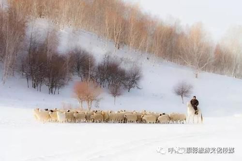 这些图片才是呼伦贝尔冬季的真实写照