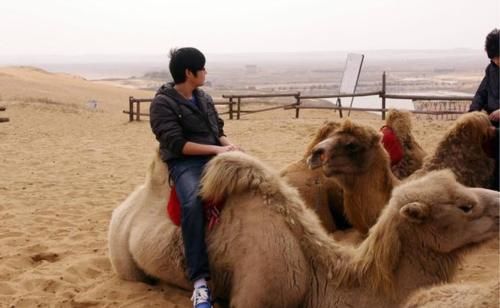 日本曾想用一斤大米换一斤砂子，被中国拒绝，如今成中国最贵沙漠