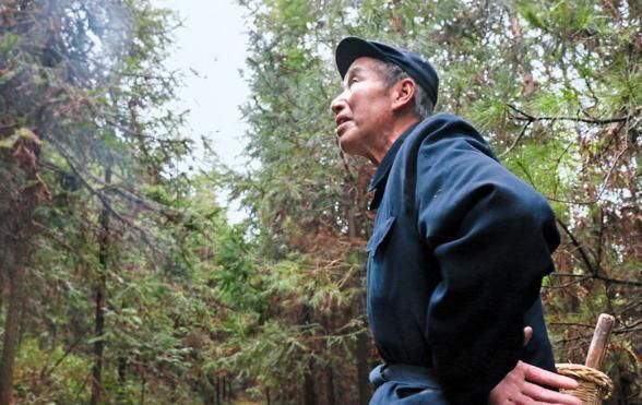 未来农村4类人要发愁了，村村都有，这其中有你吗？