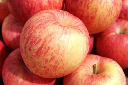  山东的蔬：浩克山东丨山东“巨型食物”之谜