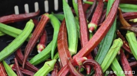 农村种植一种不常见的蔬菜，每亩产4000斤，一斤能卖到20块