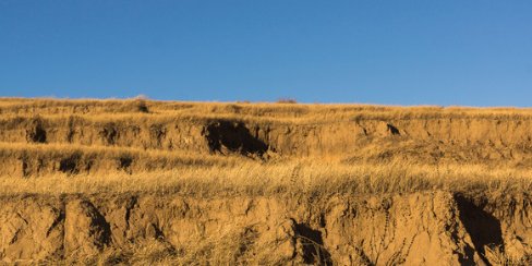  租地：注意！农村租地一定不要随便签字，这两个“陷阱”千万别