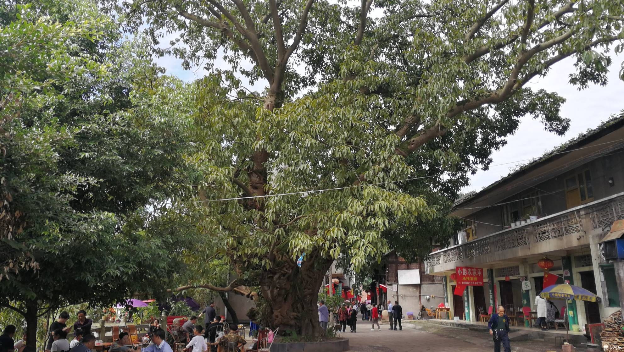 国庆大假去夹江洪雅溜达了两天