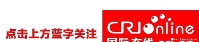 「手术」美国特种兵在伊拉克被重机枪扫射,做37次手术,资助上千军人