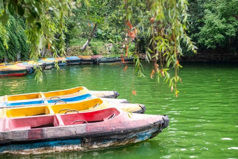 去成都旅行为什么一定要去茶馆喝盖茶?游客:来了不想走!