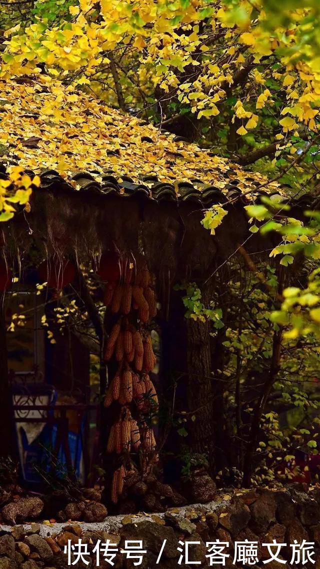 放弃辣些热门景点吧!被人遗忘的古村落,才是十一该去的地方