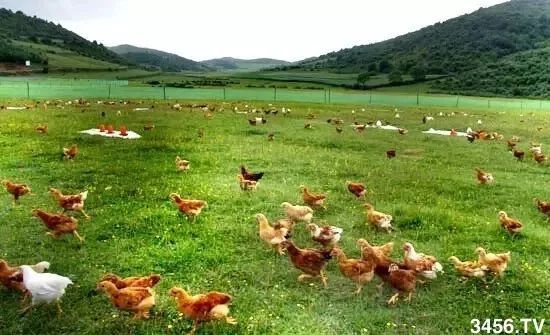 对不起，我要回去当农民了！重磅信号，中国即将实行三权分置！