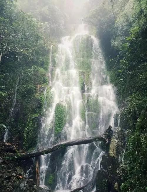  #邂逅#在大山深处邂逅古老神秘的千年瑶族，感受原生态的瑶族风情