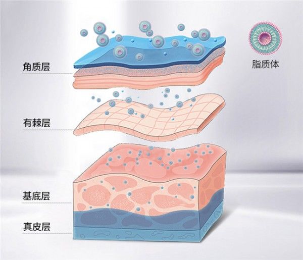  『用户』科技为先，用户为本，素晴茜开创脂质体护肤新体验
