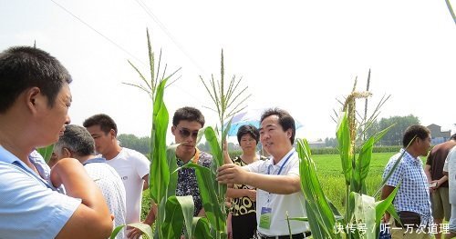 未来农村这3个职业“最吃香”，只要敢干就能赚钱，有你吗