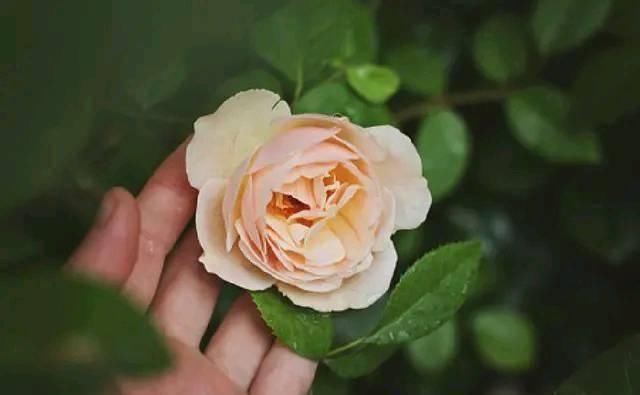  对方■玄占堂：这几个月份出生的人，往往很长情，爱上了一个人不会轻易放弃