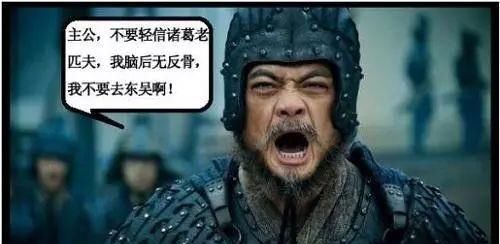  「魏延」诸葛亮临死为什么决意杀魏延，别被演义骗了，真相只有4个字