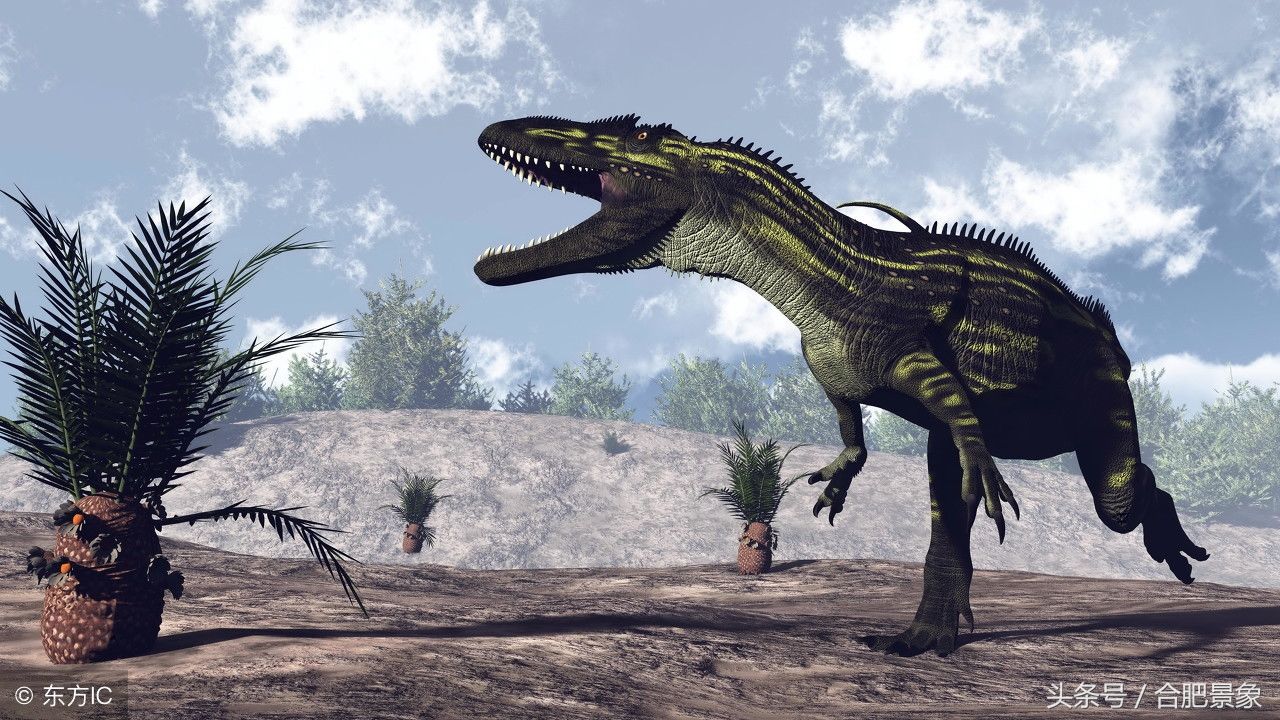 侏罗纪时期都有哪些肉食恐龙，盘点史上最强的十大肉食性恐龙!