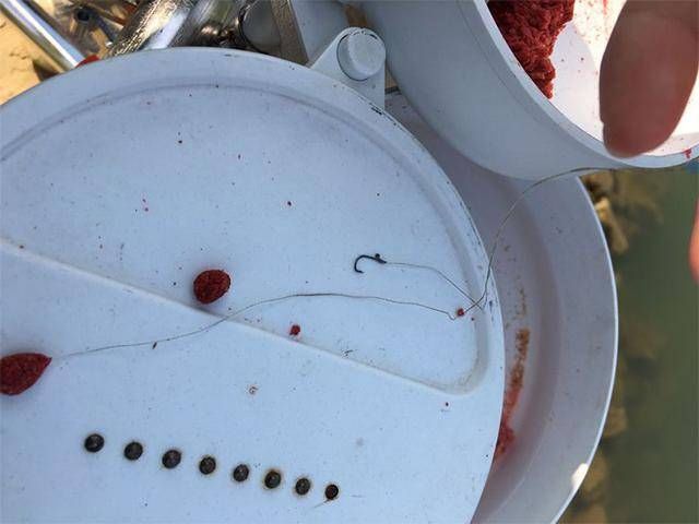  「条鱼爆护」一条鱼就能成功爆护？到底是鱼太大还是鱼护太小？你们可看图说话