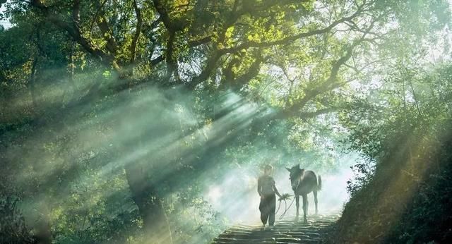 如何摄影如何摄影