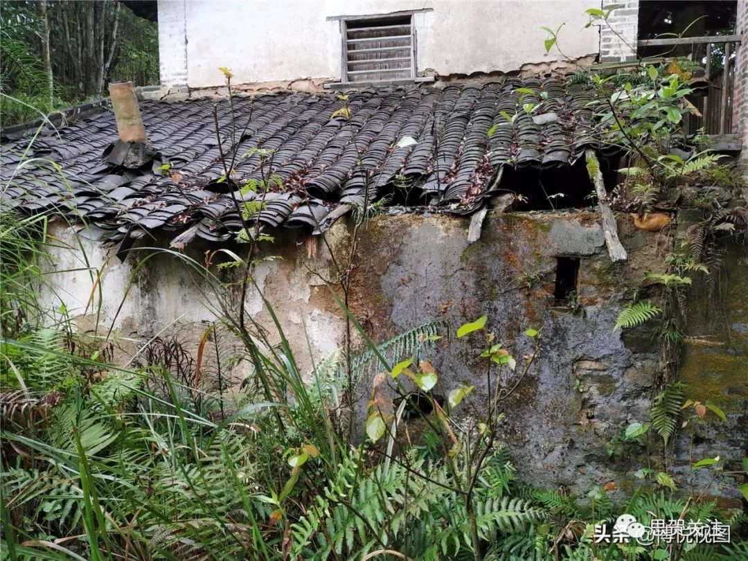 走进深山：思贺一座神秘老屋，里面还保留着什么呢？