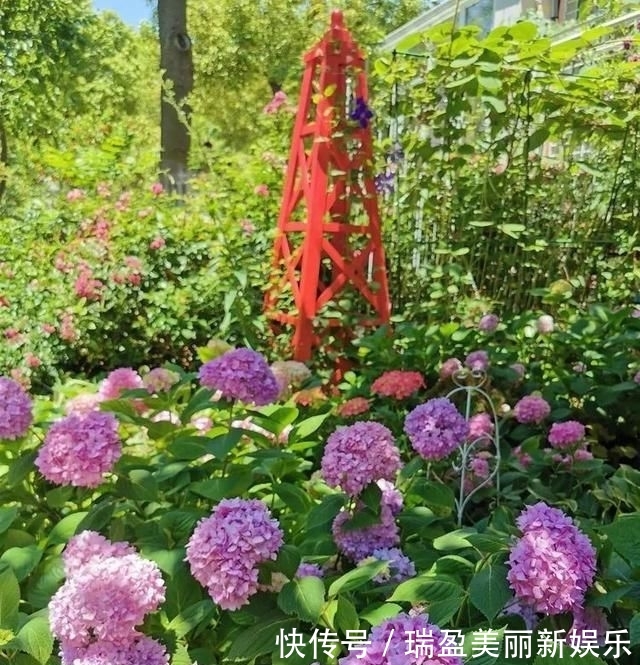  「平方」有了30平方的小院，能将日子过成了诗？简单而精致，优雅而从容！