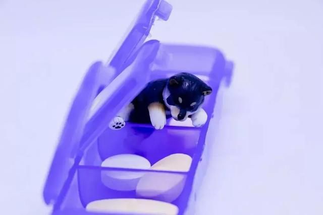 “摸完猫狗必须洗手”到底是朋友圈谣言，还是真的？