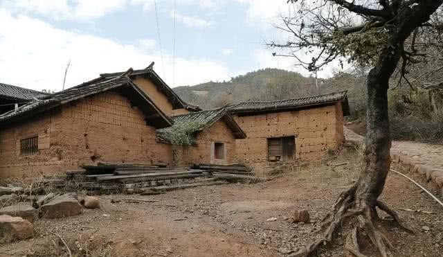 俗语“墙上墙，树通轩，家败人又亡”，老祖宗的讲究