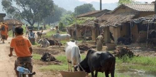 为何印度面积连中国一半都没有, 但公路里程数却比中国还多?