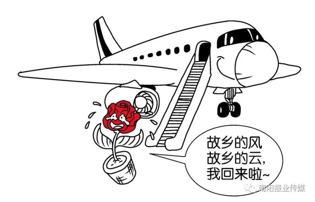  【玫瑰】哪有什么玫瑰？长哩美的都是月季！