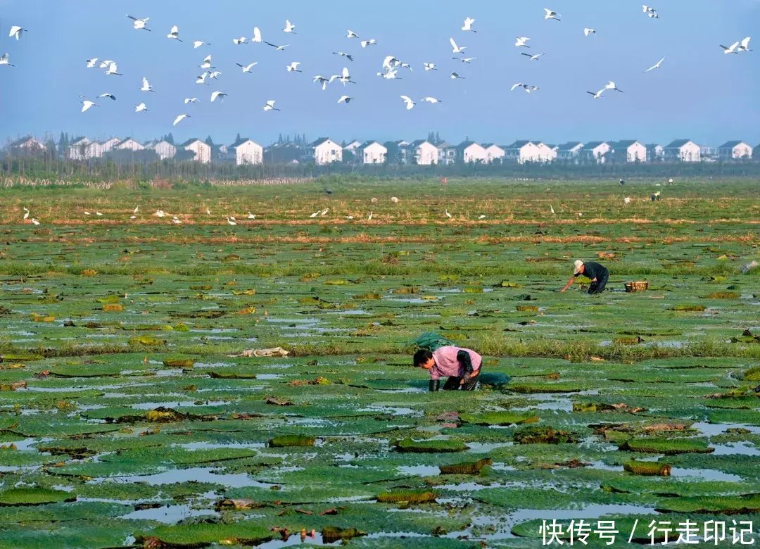 4000米高空跳伞是什么感觉？来甪直体验当“鸟人”的滋味
