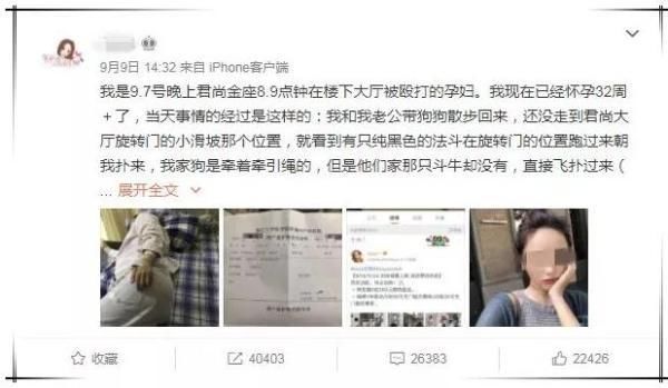 因一条不牵狗绳的狗 杭州一网红与孕妇发生冲突致其先兆早产