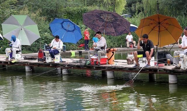  [味道]黑坑钓鱼本身就是一场“赌局”，想要拔得头筹你得懂创新