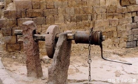 认识5个正常, 10个算厉害, 全部都认识的你就超“神”了!