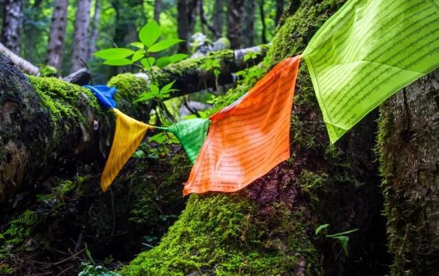 不去天堂，就去雨崩！这里有云淡风轻，这里花开四野……